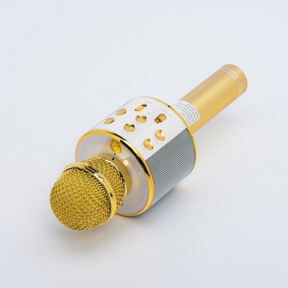 Mikrofon z gonikiem CR58 zoty Kruger&Matz EAGLE 1073 / 5